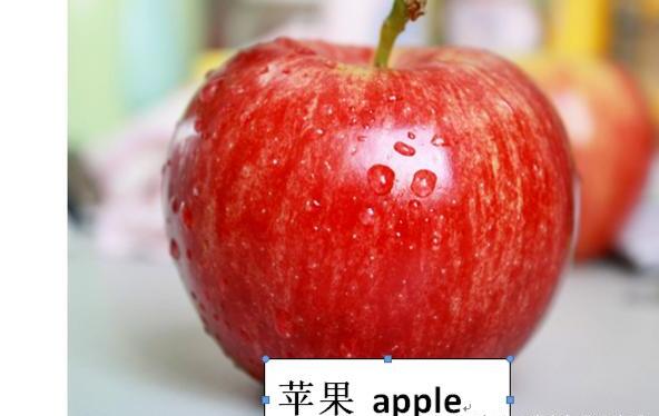 word文档如何给图片添加文字 word文档如何给图片添加文字