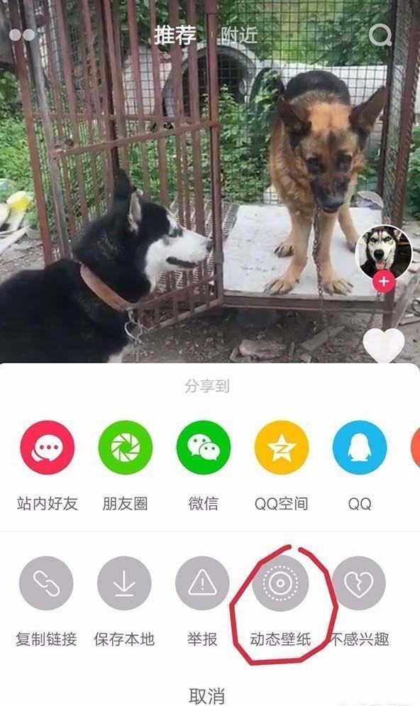 抖音怎么设置动态壁纸