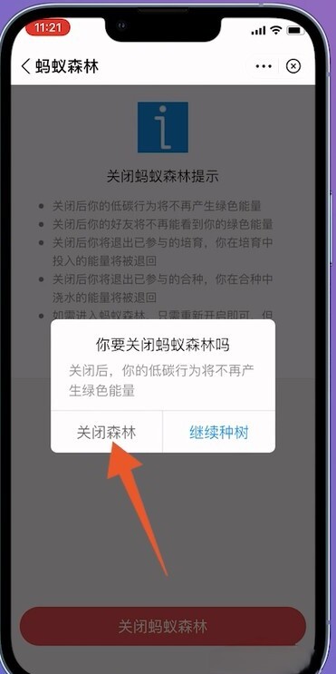 怎么关闭蚂蚁森林