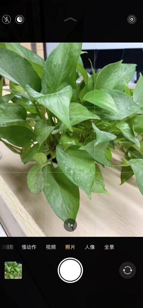 苹果手机照相9宫格怎么设置