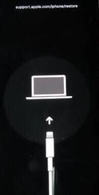 苹果忘记id密码怎么办