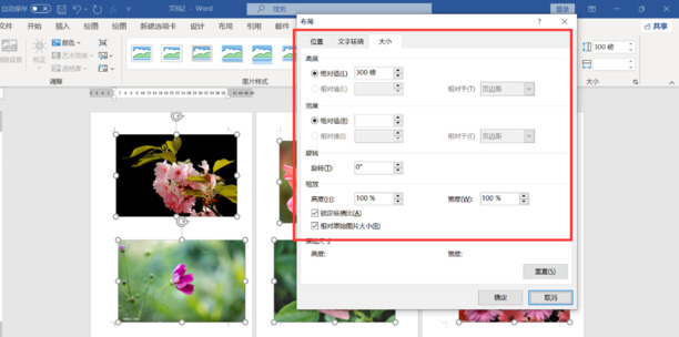 word表格插入图片怎么统一尺寸