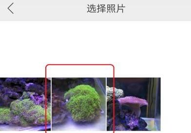 相册图片如何设置成手机壁纸 相册图片如何设置成手机壁纸