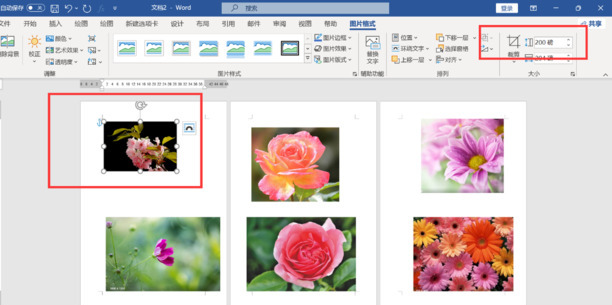 word表格插入图片怎么统一尺寸