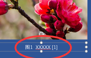 ppt里面如何为图片添加标题
