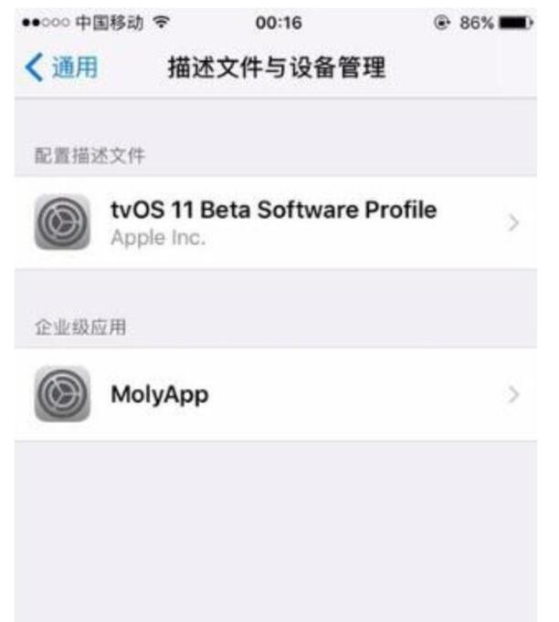 苹果手机怎么弄双微信