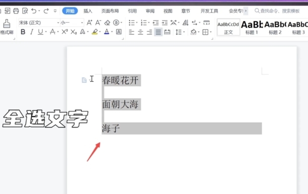 word怎么设置一二级标题