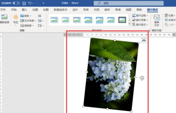 word图片怎么旋转