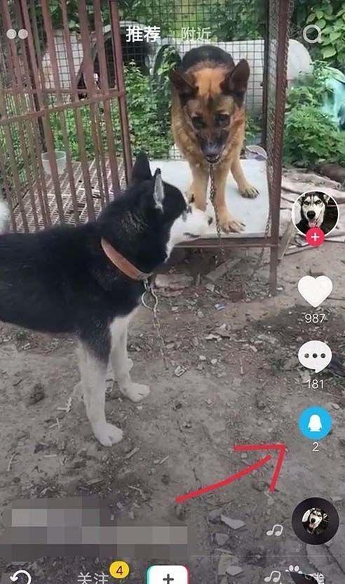 抖音怎么设置动态壁纸