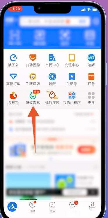 怎么关闭蚂蚁森林