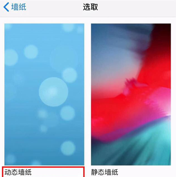 苹果手机怎么设置动态壁纸
