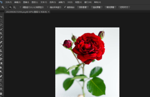 PS怎么去色