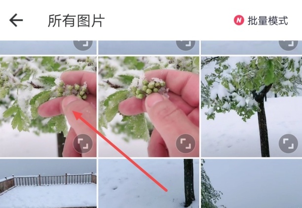 美图秀秀文字怎么竖起来