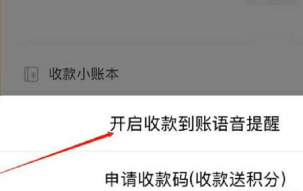 苹果手机中我们如何对微信收款进行语音设置提醒 苹果手机中我们如何对微信收款进行语音设置提醒