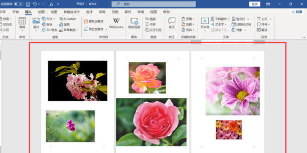word表格插入图片怎么统一尺寸
