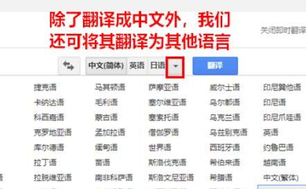 谷歌翻译怎么用 谷歌翻译怎么用