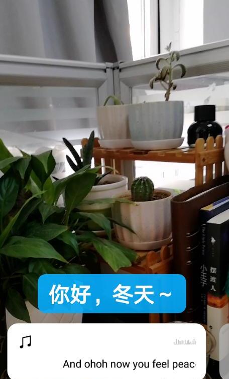 微信中“拍一个视频动态”在哪里显示怎么拍