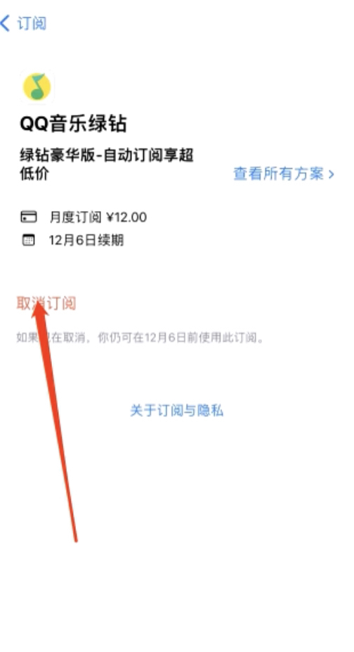 苹果连续包月自动扣费怎么取消