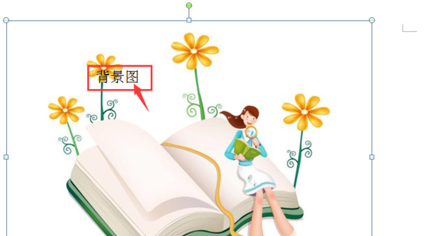 word文档插图片后怎么写文字