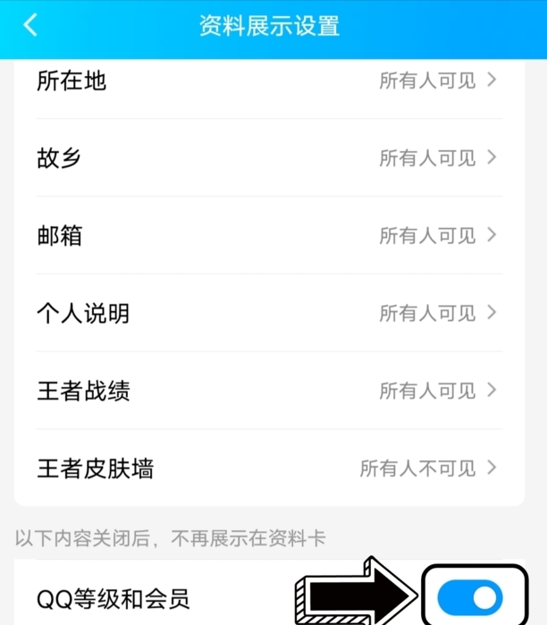 怎么隐藏QQ等级好友看不到