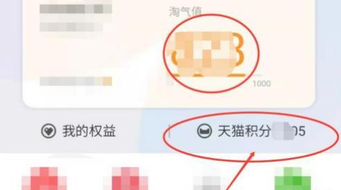淘宝如何查询我的积分多少 淘宝如何查询我的积分多少