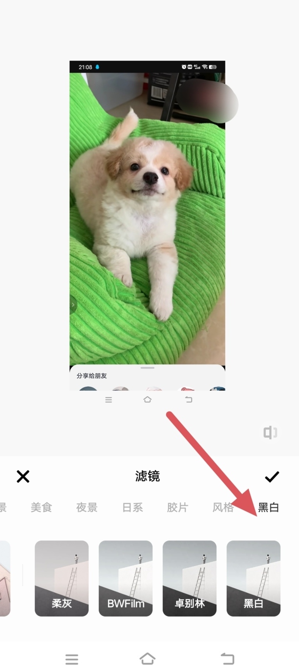 网络男神黑白滤镜怎么调