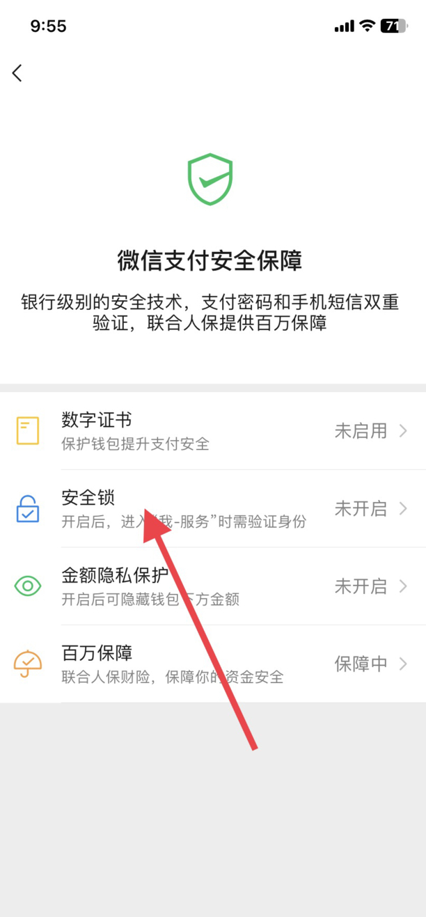 微信进入零钱包怎么设置密码