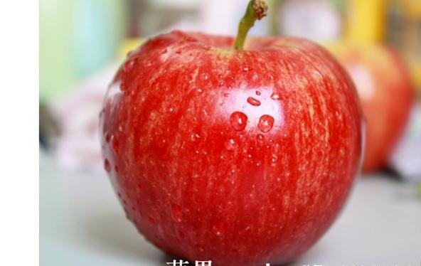 word文档如何给图片添加文字 word文档如何给图片添加文字