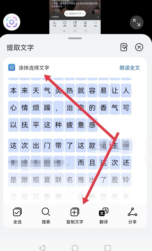 小红书文字怎么复制