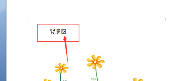 word文档插图片后怎么写文字