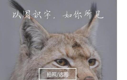 微信如何快速复制(或翻译)图片上的文字 微信如何快速复制(或翻译)图片上的文字
