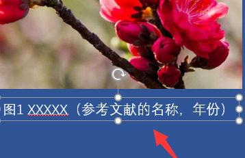 ppt里面如何为图片添加标题