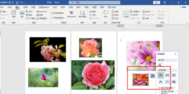 word表格插入图片怎么统一尺寸