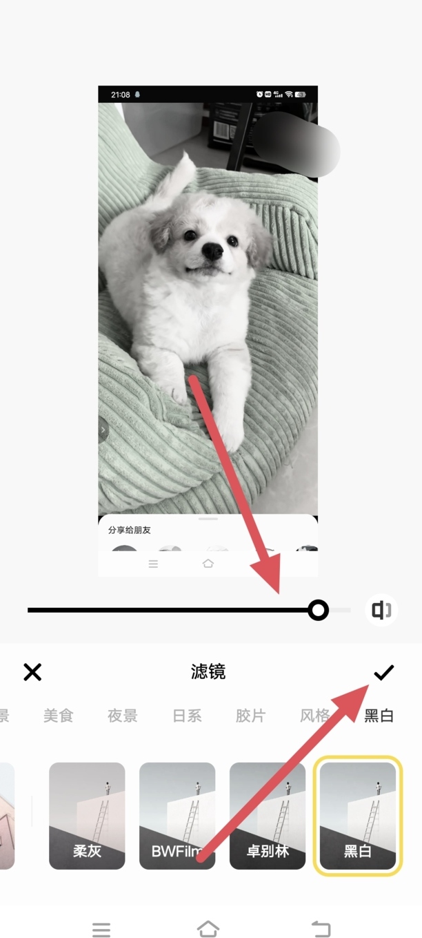 网络男神黑白滤镜怎么调