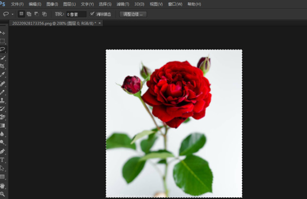 PS怎么去色