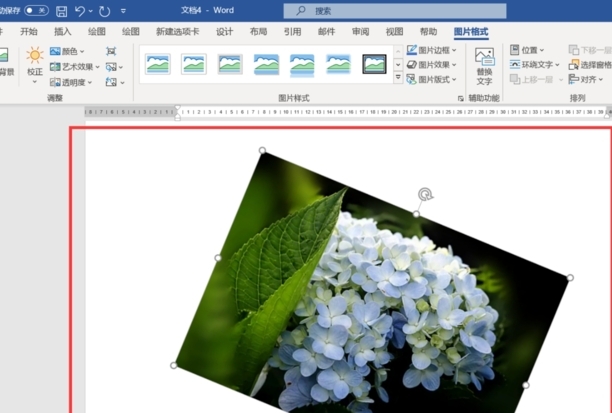 word图片怎么旋转