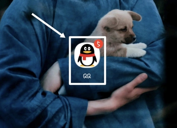 qq随机骰子一直转怎么办