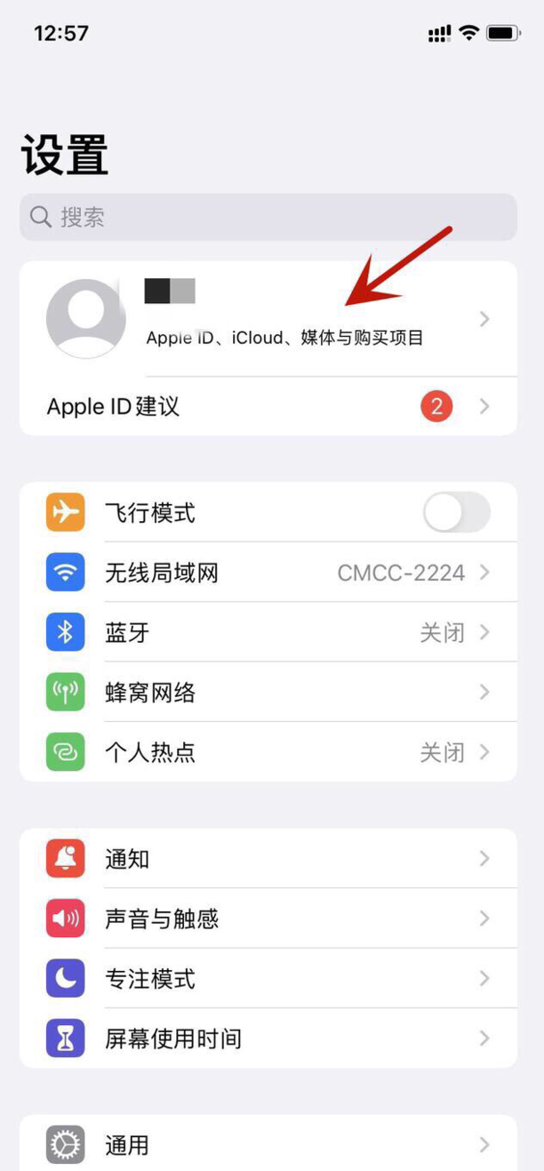 苹果手机如何取消订阅付费项目