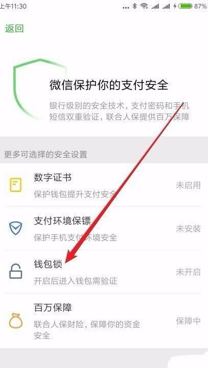 微信怎么样为钱包设置钱包锁如何设置钱包密码 微信怎么样为钱包设置钱包锁如何设置钱包密码