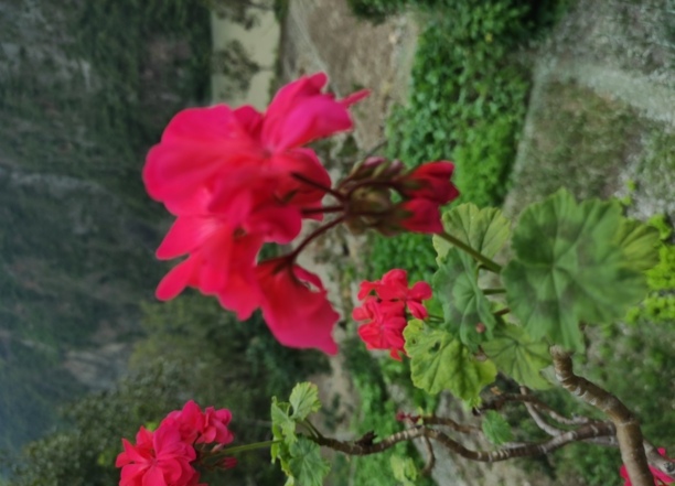 华为手机怎么隐藏图标