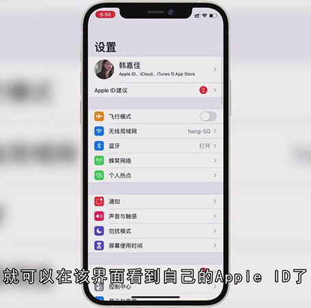 苹果手机ID在哪里查看