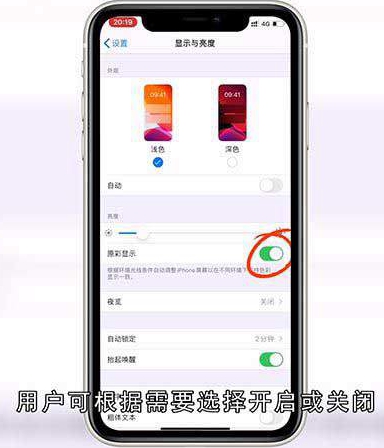 iphonex原彩显示要开吗
