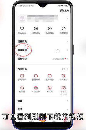 西瓜视频怎样下载