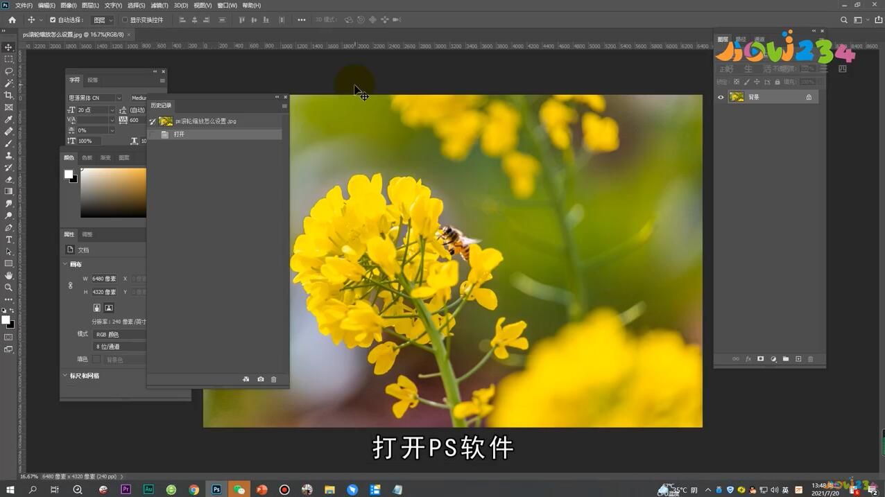 PS滚轮缩放怎么设置