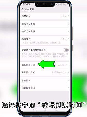 微信延迟到账怎么设置