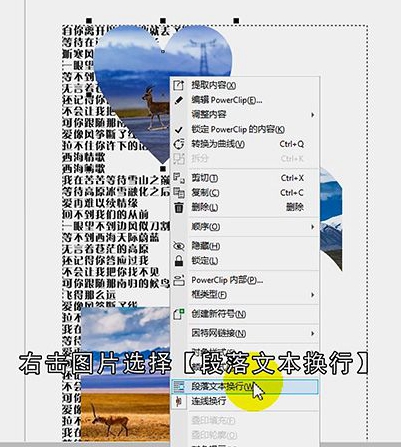 cdr怎么嵌入图片