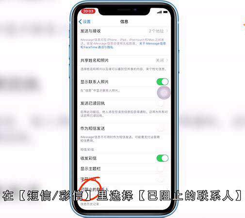苹果手机怎么屏蔽骚扰电话和短信息