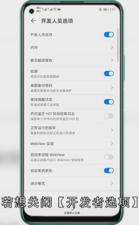 华为手机开发者选项怎么打开