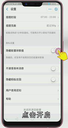 蚂蚁森林怎么隐藏能量球数值