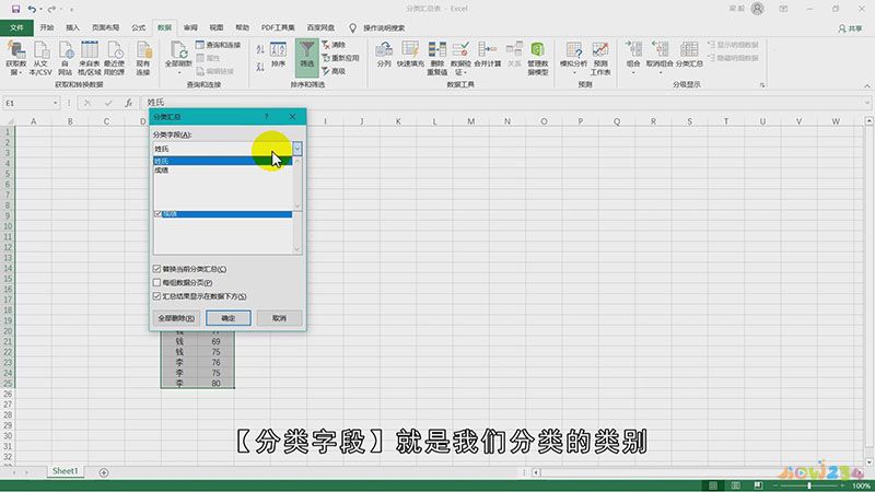 Excel分类汇总在哪
